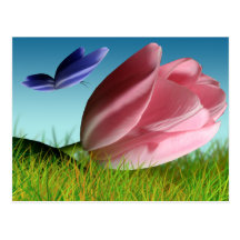 Spring Tulip And Butterfly Postcard