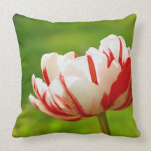 Spring tulip beautiful pillow
