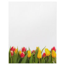 Spring Tulip Garden Letterhead
