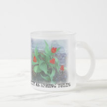Spring tulips for moms Mug
