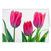 Spring Tulips Get Well Soon Cards