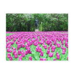 Spring Tulips in the English Garden's Postcard