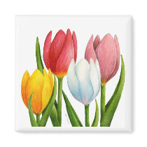 Spring Tulips Magnet
