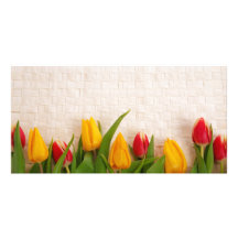 Spring Tulips Picture Card