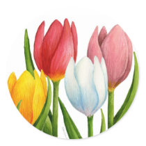 Spring Tulips Sticker