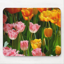 Spring Tulips usepad
