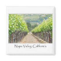 Spring Vineyard in Napa Valley California Magnets