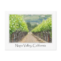 Spring Vineyard in Napa Valley California Post Cards