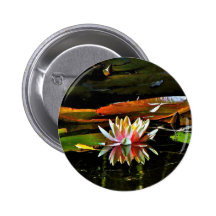 SPRING WATER LILY IN A POND PINBACK BUTTONS