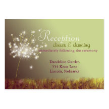 Spring Wedding Reception Enclosure (3.5x2.5) Business Cards