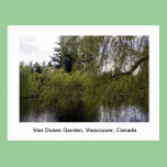 Spring willow trees in a botanical garden. postcards