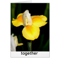 spring yellow
