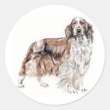 Springer spaniel de Gallois Autocollants