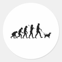 Springer spaniel de Gallois Autocollants