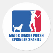 Springer spaniel de Gallois Autocollants