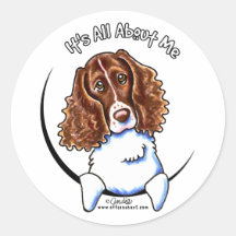 Springer spaniel IAAM Autocollants