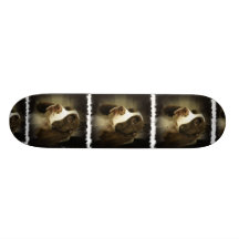 Springer Spaniel Skateboard