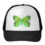 Springs Bounty 2 Hats