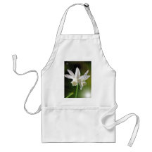 Springs Bright Stars Apron