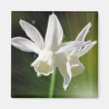 Springs Bright Stars Refrigerator Magnets