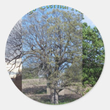 Springs eternal rebirth.jpg stickers