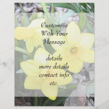 Spring's First Daffodils Full Color Flyer