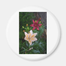 Springs Flowers Fridge Magnets