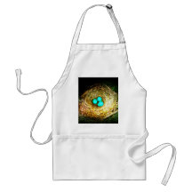 SPRING'S REBIRTH.jpg Aprons