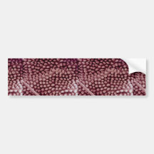 Springtail - back bumper sticker