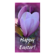 Springtime Beauty Picture Card
