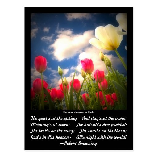 Springtime Flowers Collection I Post Cards
