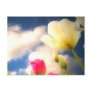Springtime Flowers Collection I Postcard
