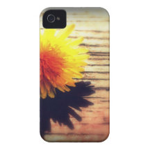 Springtime Golden Yellow Dandelion Wishes iPhone 4 Cases