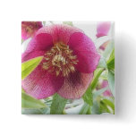 Springtime Hellebore Blossoms Pinback Buttons