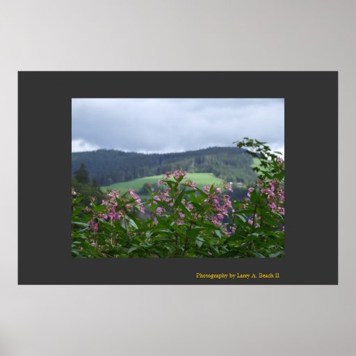 Springtime in Triberg Print
