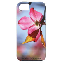 Springtime iPhone 5 Case