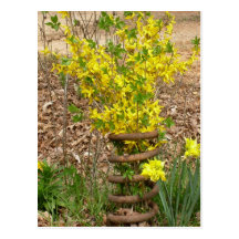 Springtime, postcard