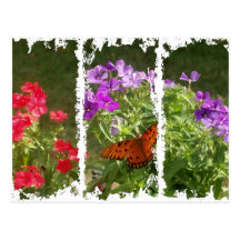 Springtime Postcard