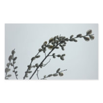 Springtime Pussy Willow Catkins Rectangular Stickers