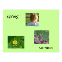 Springtime/Summertime Postcard