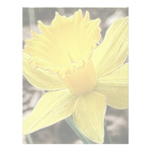 Springtime Yellow Daffodil Personalized Letterhead