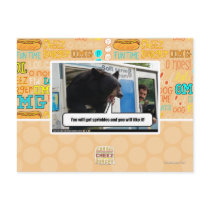 Sprinkles Post Cards