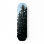 Spruce Trees In Forest Skateboard Decks
