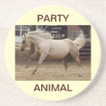 Spunky Palomino Coasters