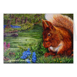 sqiuril nutkin cards