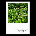 Square Photo 0467 - Wild Garlic business cards