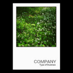 Square Photo 0468 - Woodland Flowers cartes professionnelles