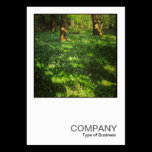 Square Photo 0469 - Spring in the Woods cartes professionnelles