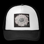 Square photo - Chrysanthemum chapeaux
