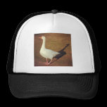 Square Photo - Goose chapeaux